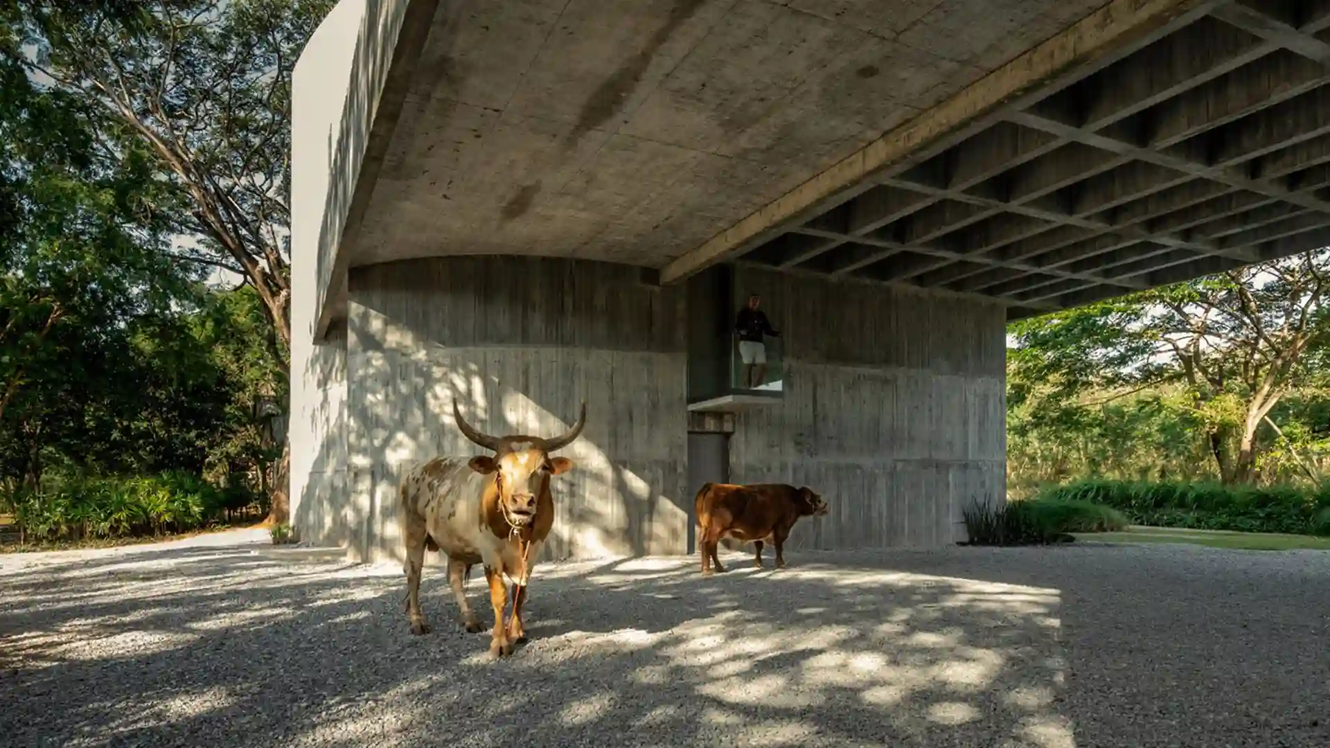 تفسیر مدرن از خانه تایلندی در پروژه W House II