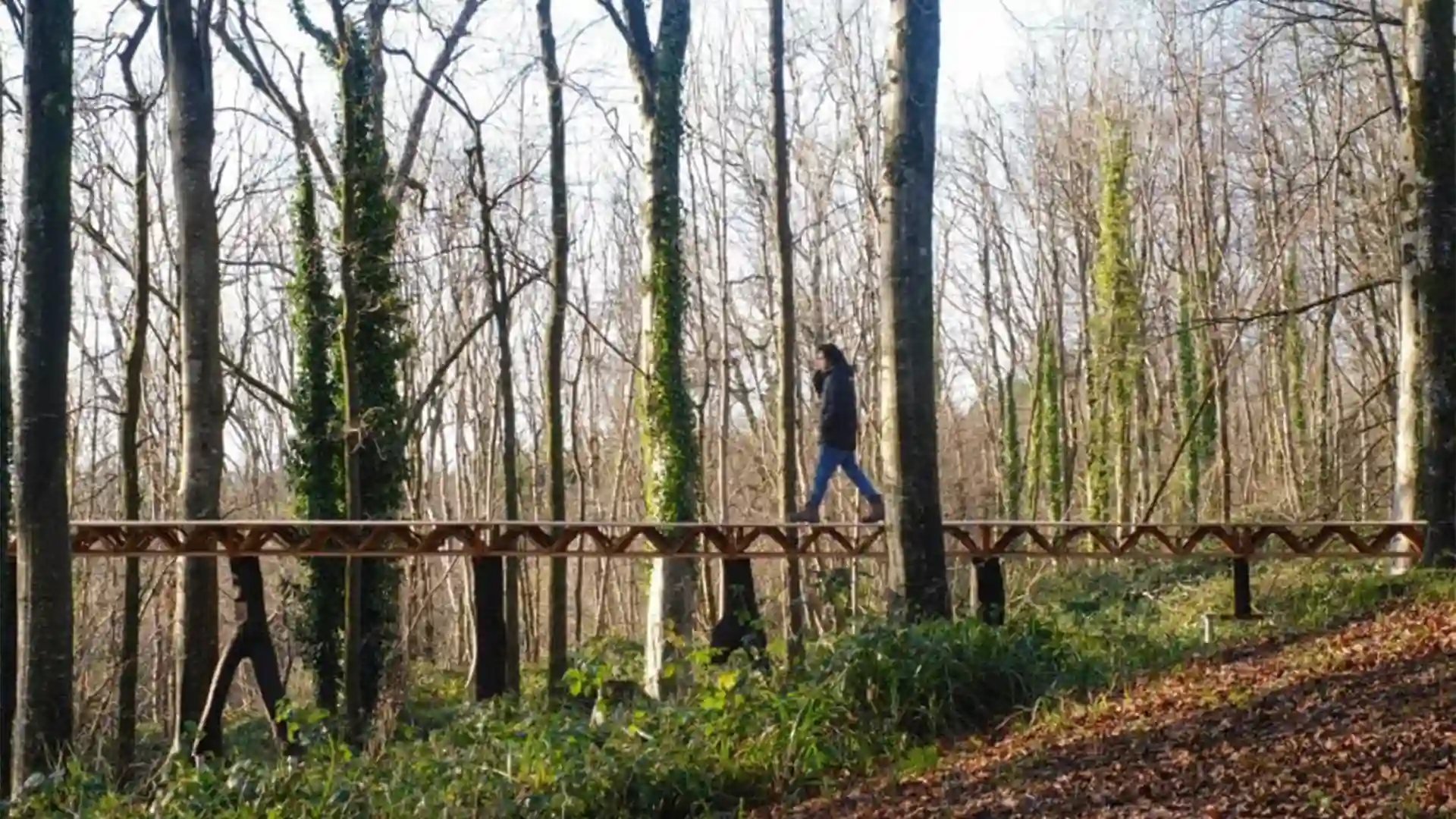 نوآوری AA Design ساخت با چنگال درختان و کاهش پسماند چوب 🌳