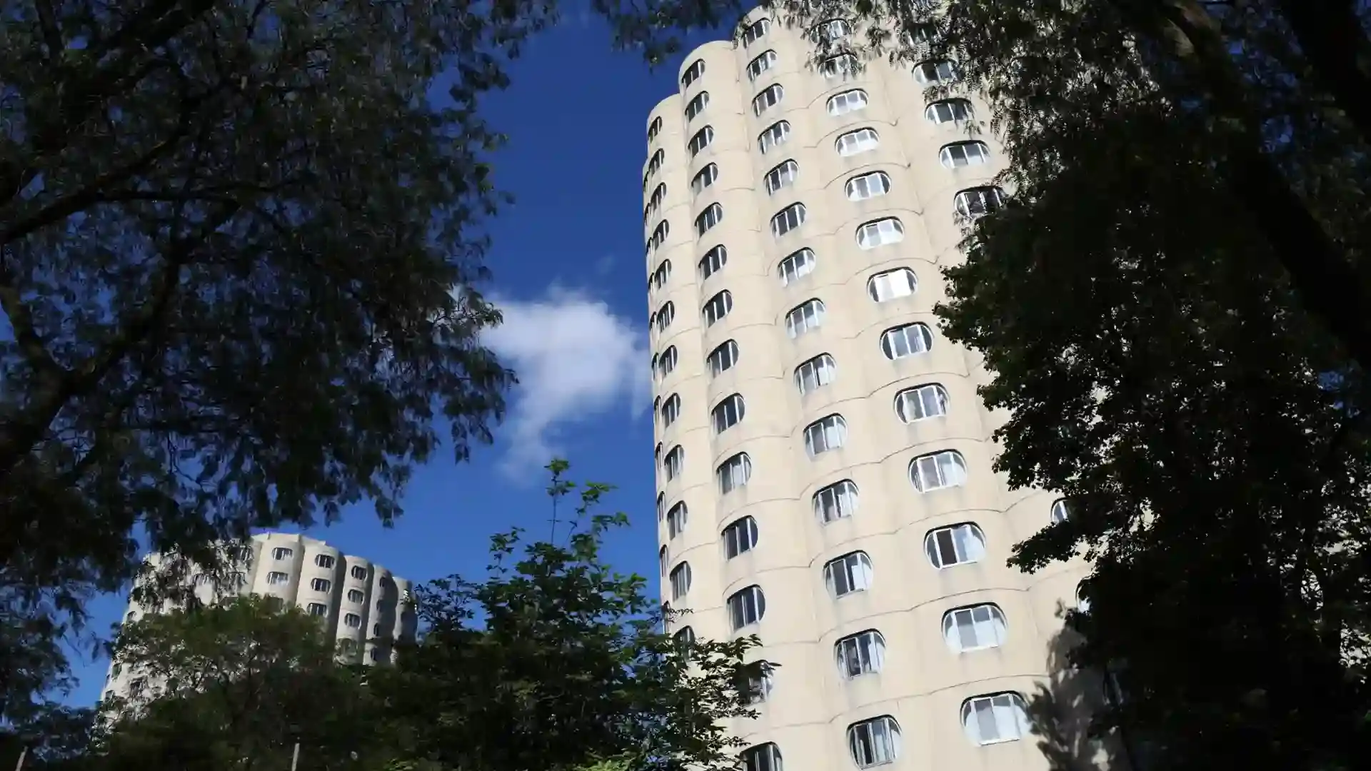 Open House Chicago 2025نمایش مسکن برتاند و مزرعه قارچ🍄