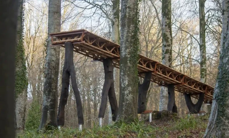 نوآوری AA Design ساخت با چنگال درختان و کاهش پسماند چوب 🌳