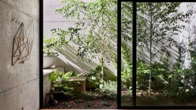 طراحی زیستی (Biophilic)